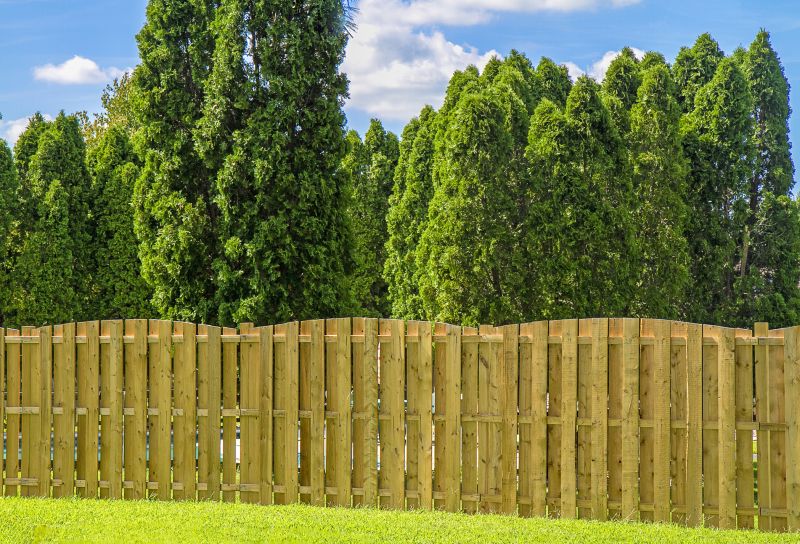 Tall Privacy Fence